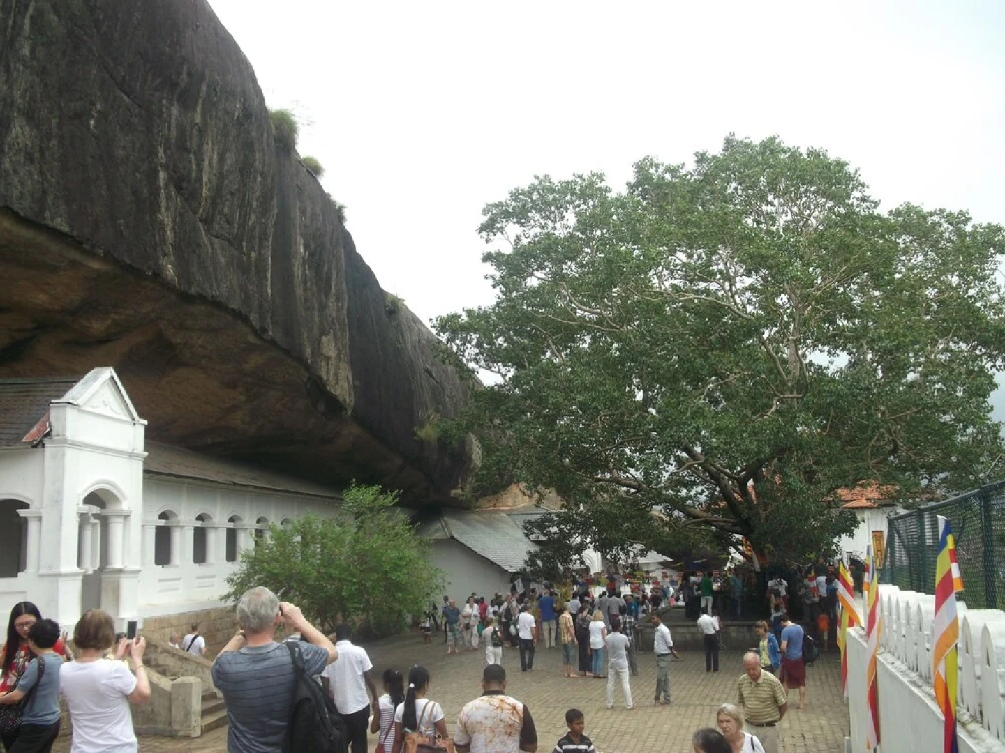 The Elephant Village