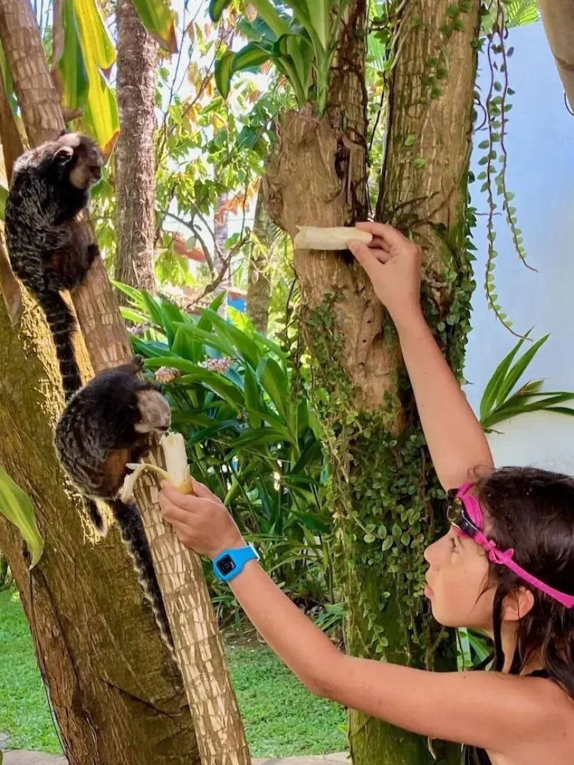 Pousada Coqueiro Verde