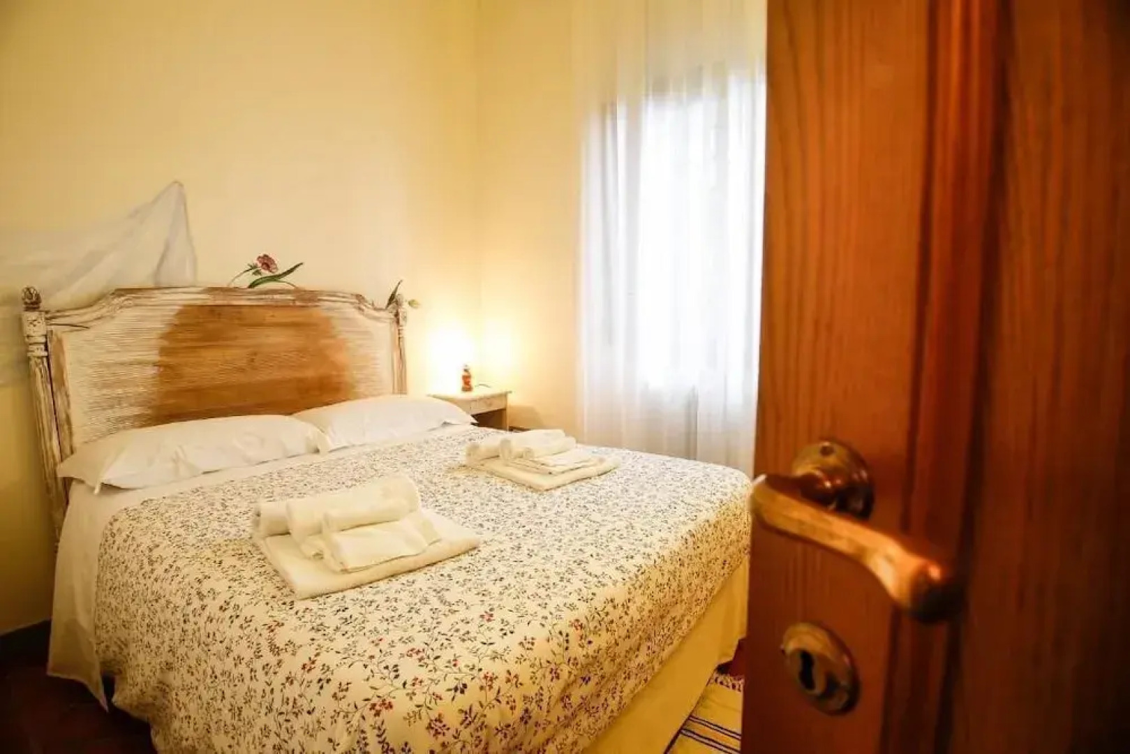 Gatto Bianco Tizzauli