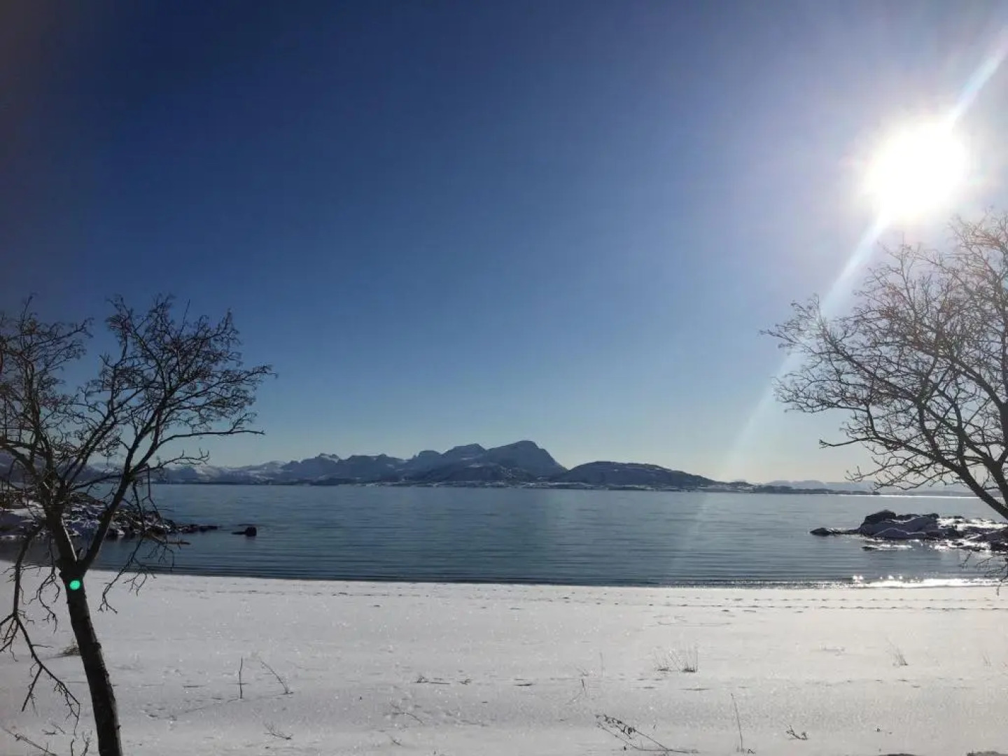 The Old Harbour Store