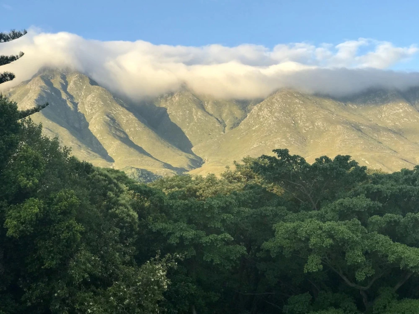 Braeside Guest House