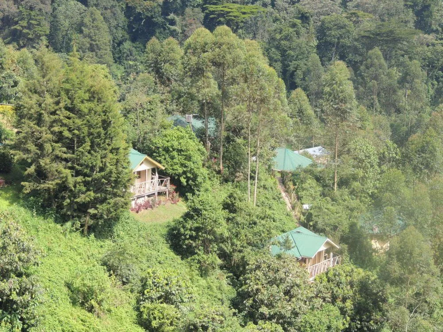 Gorilla Safari Lodge