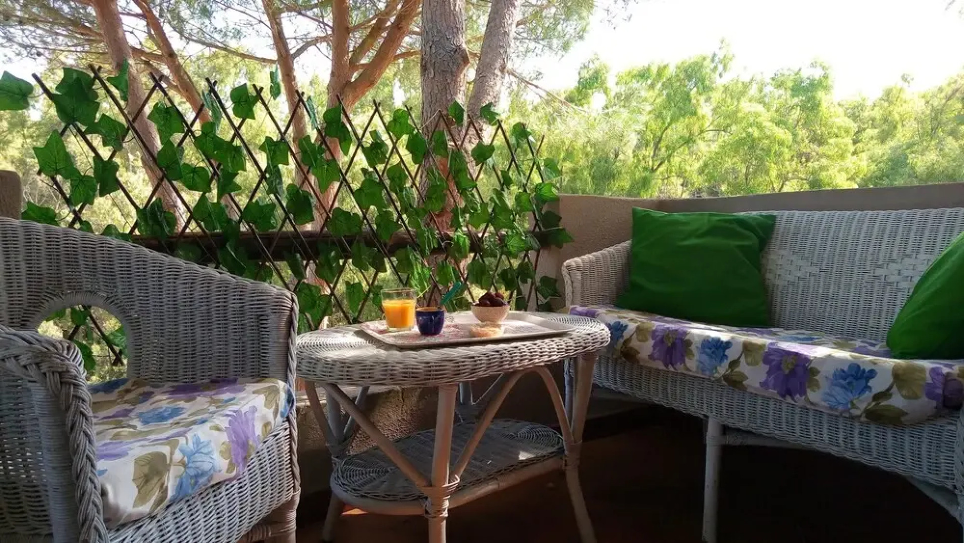 Green House - Woods And Beaches - Sardinia