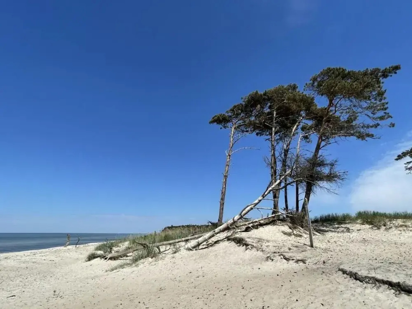 Holiday Home Marla Comfortable Vacation Home