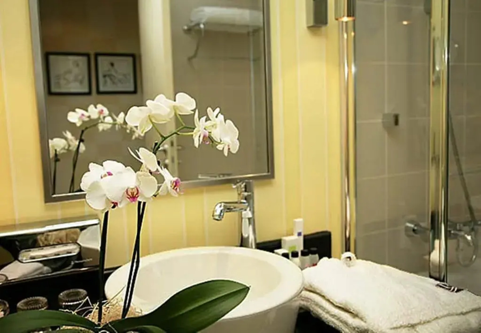 Renaissance by Crystall