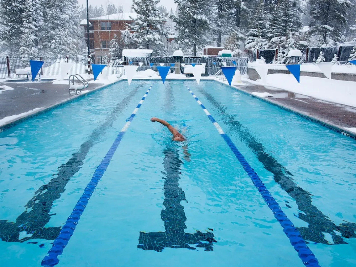 Tahoe Donner Gem - 4 Br Home