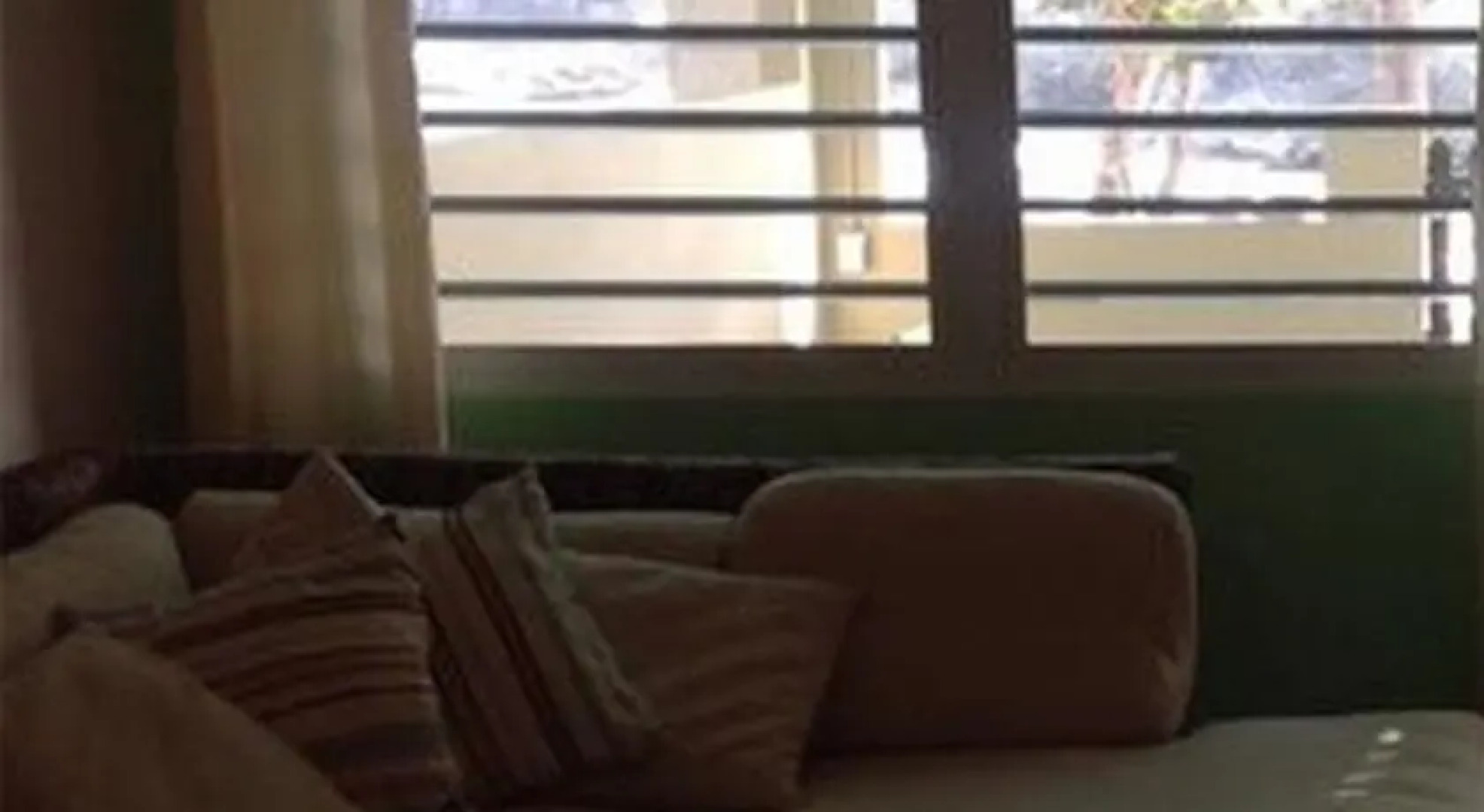 Coconut Apartment