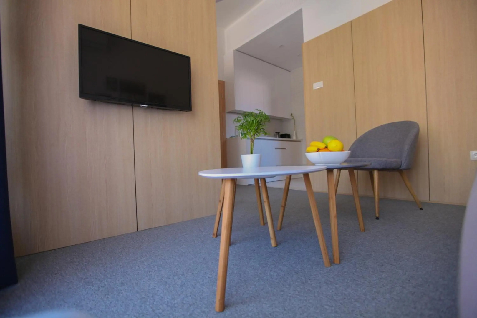 Luxury Apartments Taša