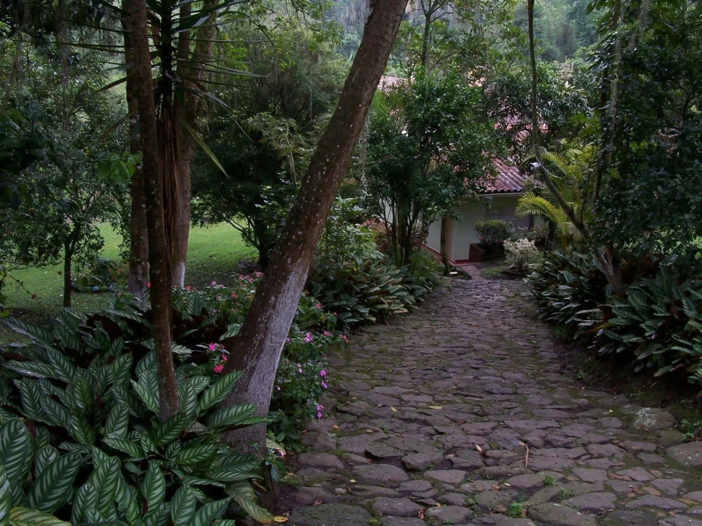 Hotel California Pacho