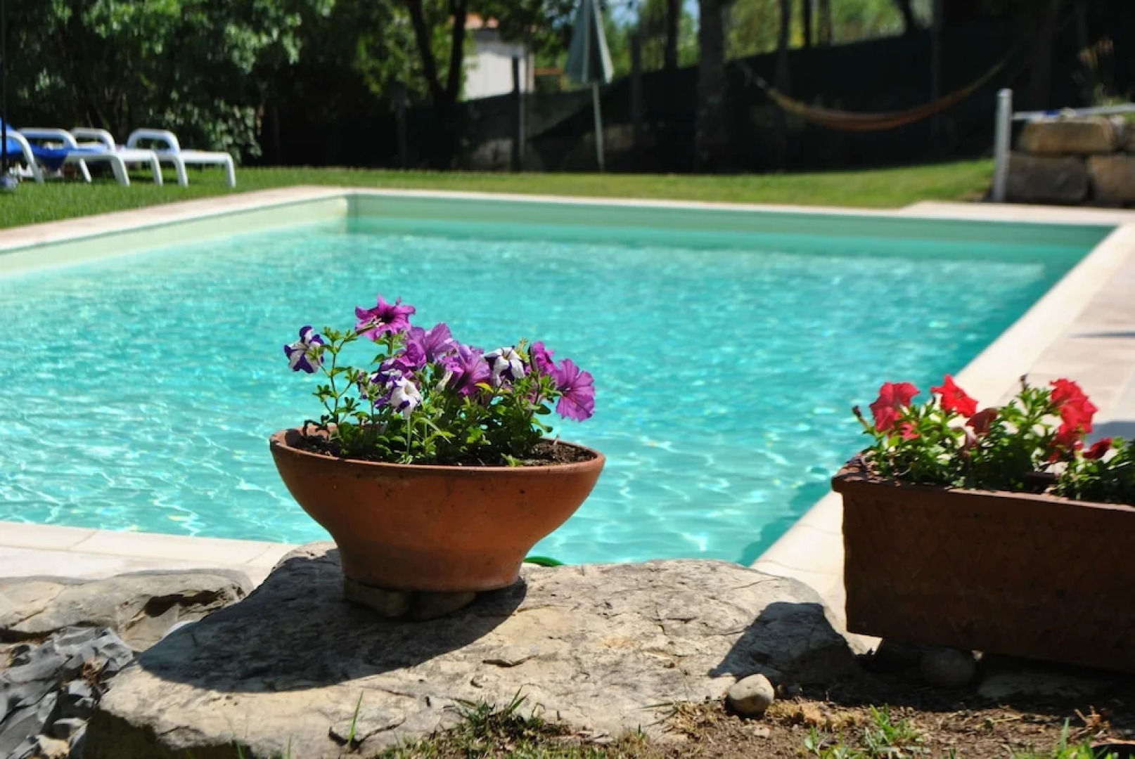 La finestra sul cortile