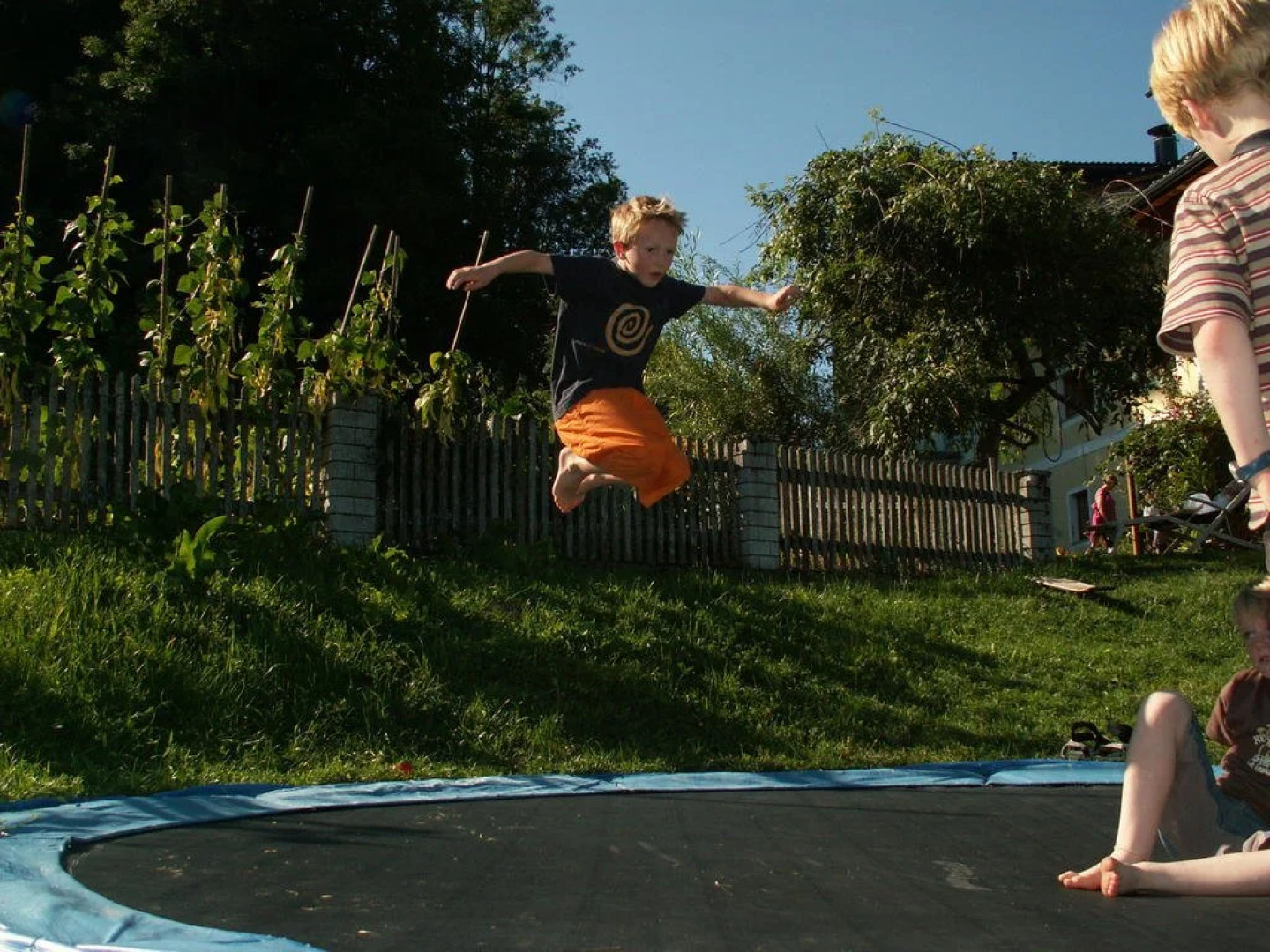 Bio-Bauernhof Brückler