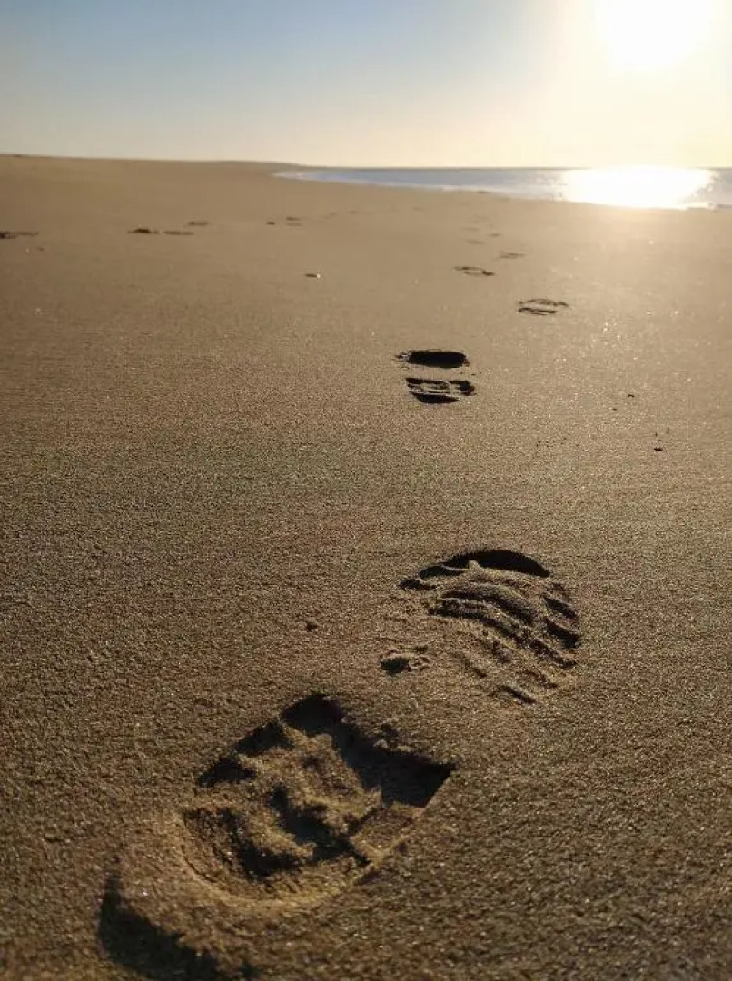 Apartment on The Beach Front