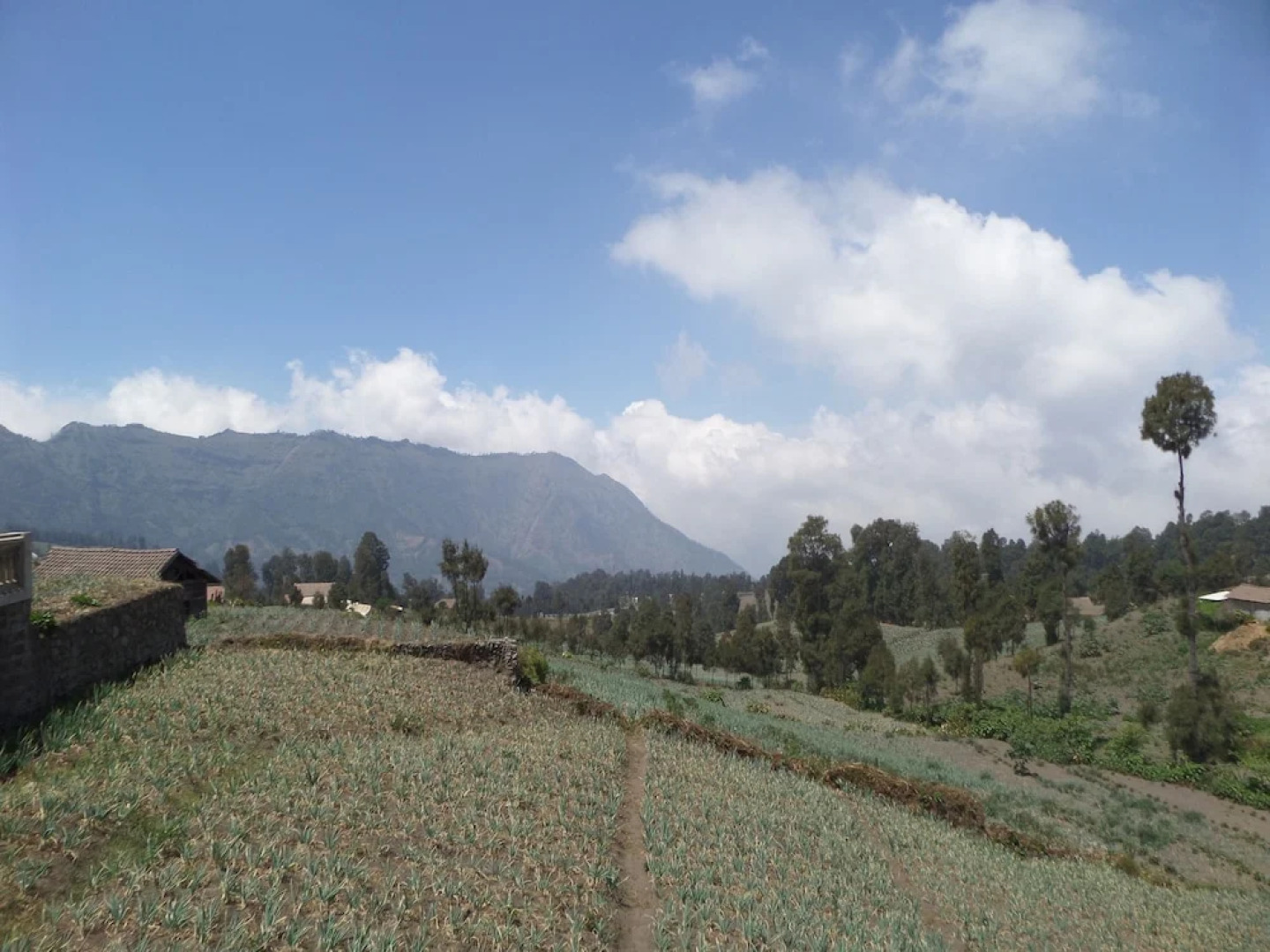 Lawang Sari Homestay