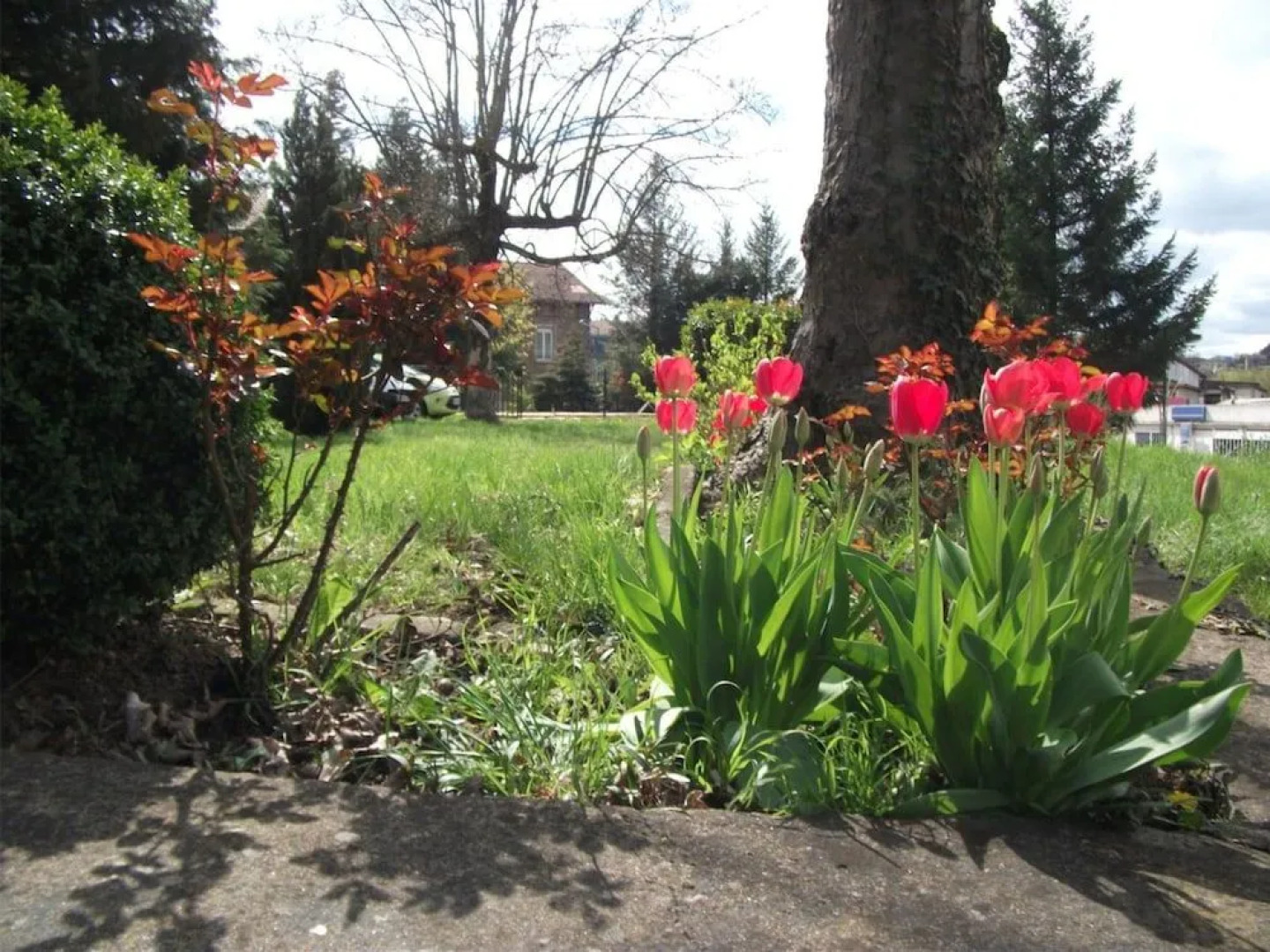 Appartements De L'etape Ardechoise