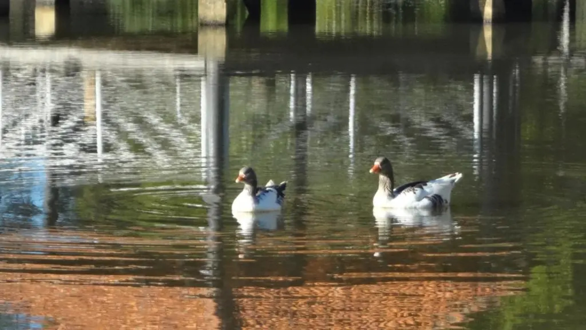 Pousada Colar de Ouro