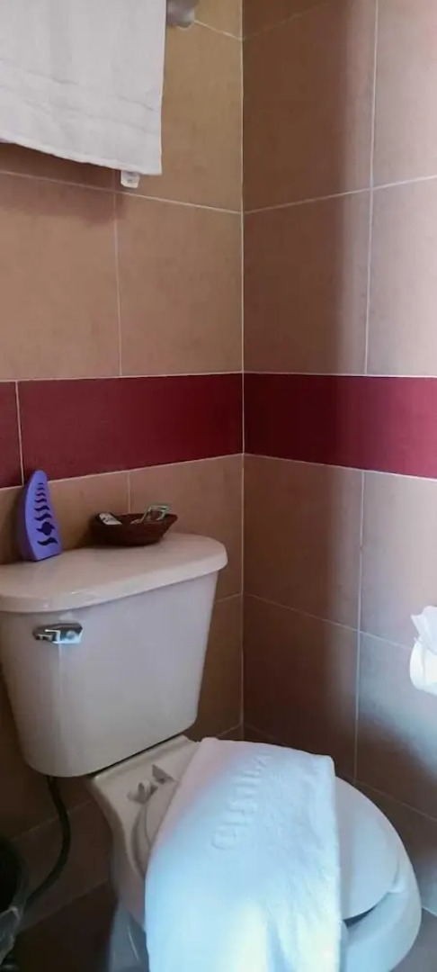 Alebrije Hotel boutique