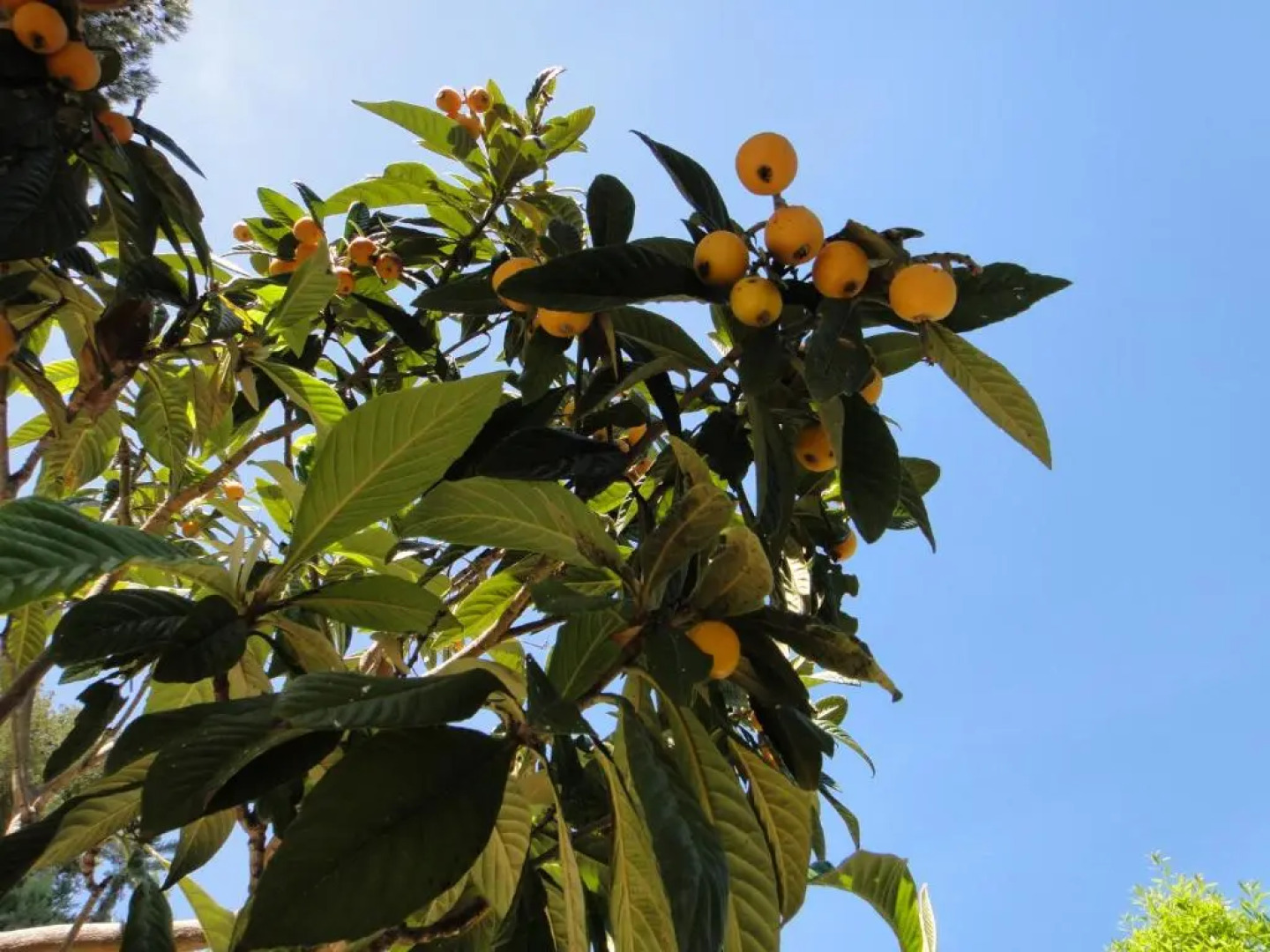 Home Cassis. Maison Mediterrannee