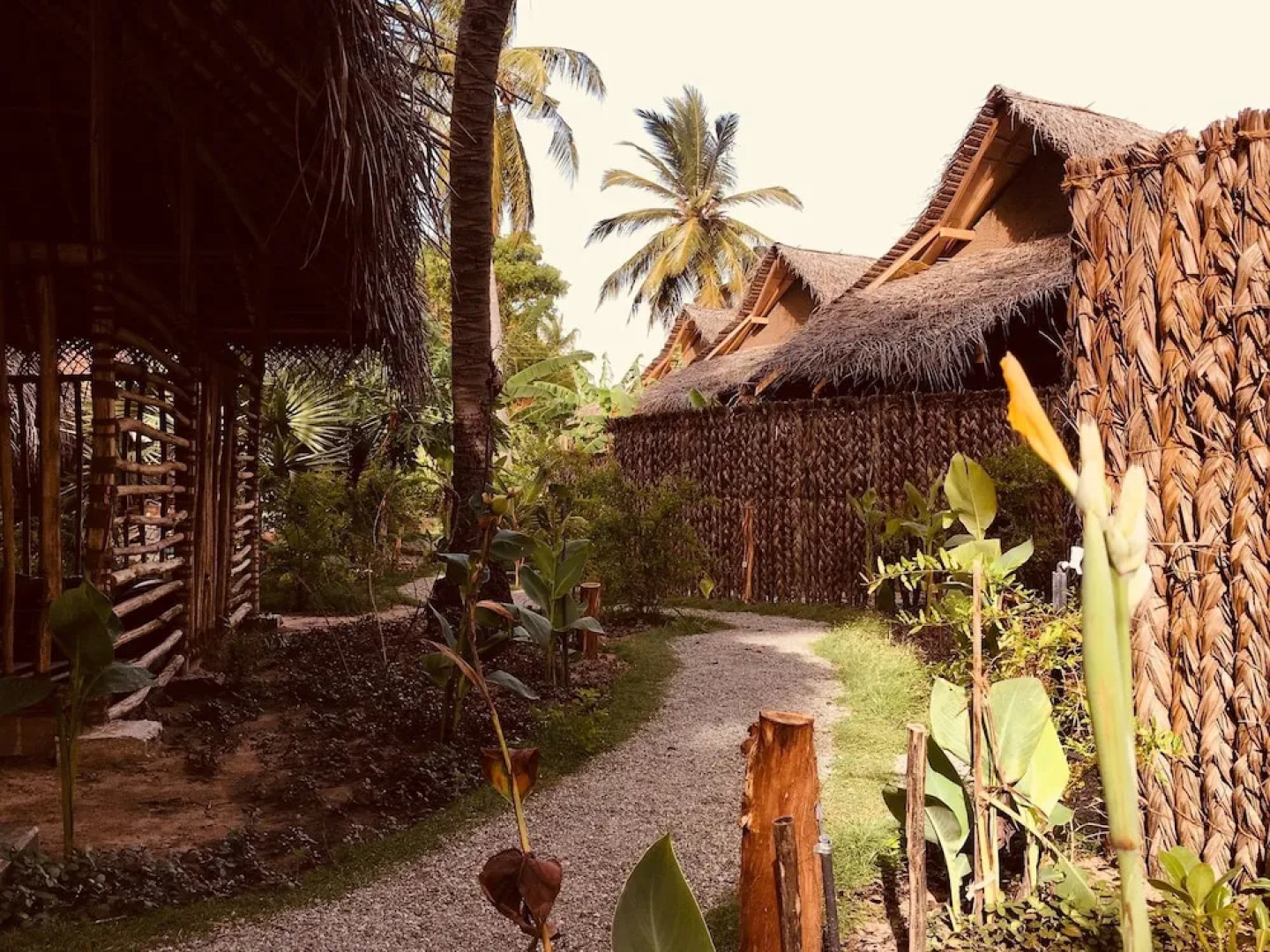 Wind Blend Kite Resort