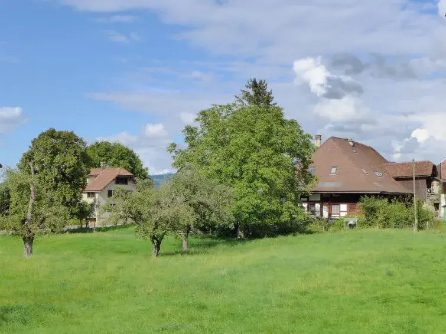 Hadassa Apartments Saba / Jona