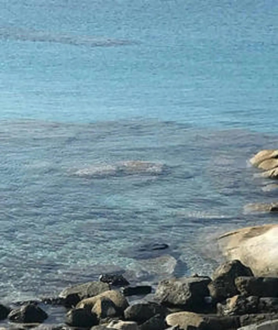 Sul Mare Sardegna Villa Nesea