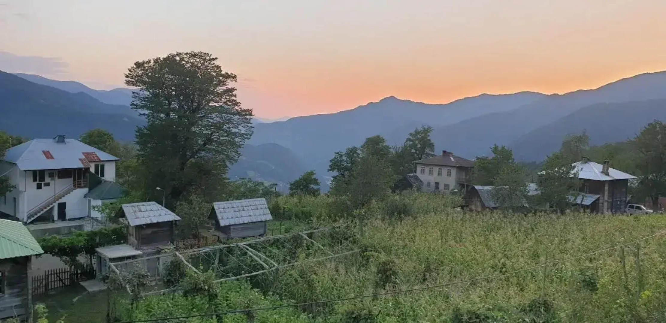 Guest House Zebo