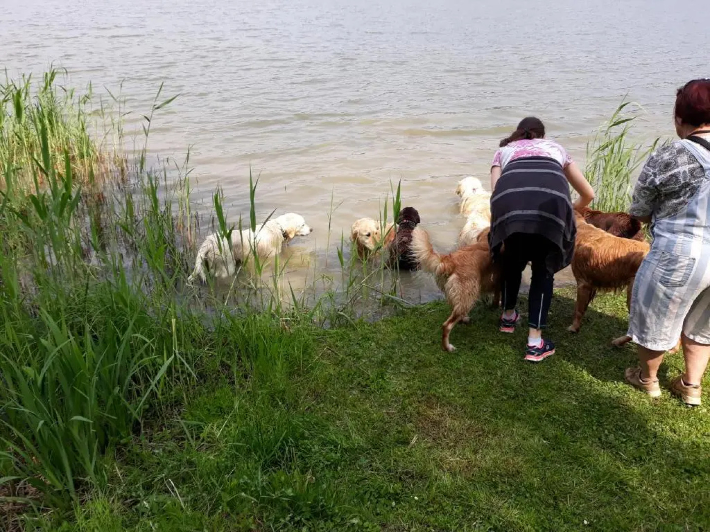 Göcsej Völgye Kemping