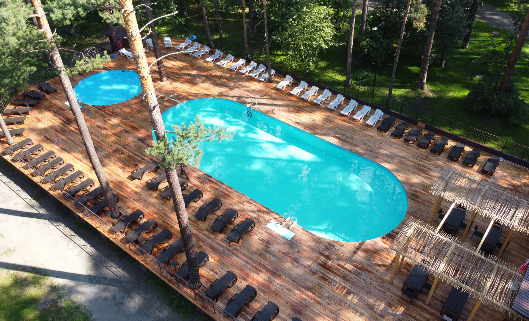 Orlinoe gnezdo (Altaj)