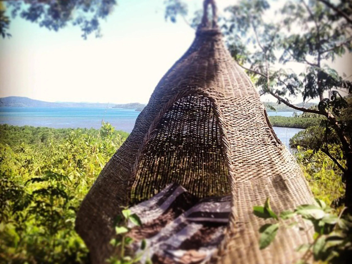 Sanctuaria Treehouses Busuanga