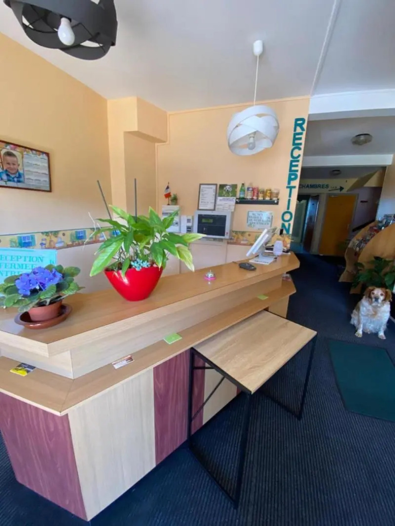 Hôtel Le Lyon Vert Commentry