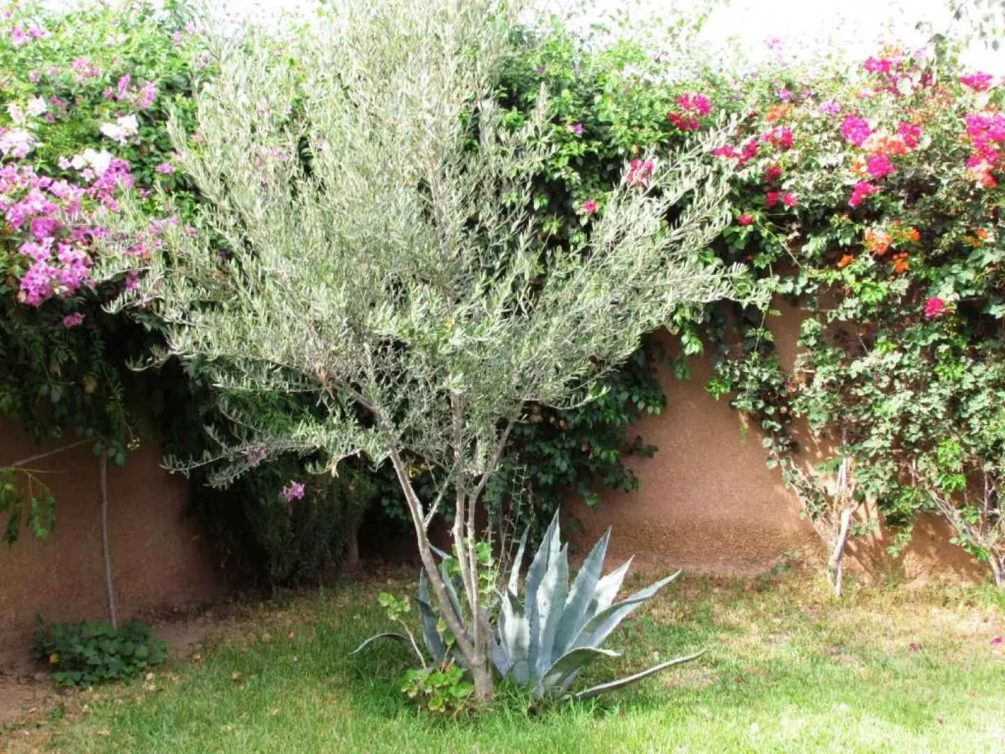 Le Jardin Des Epices