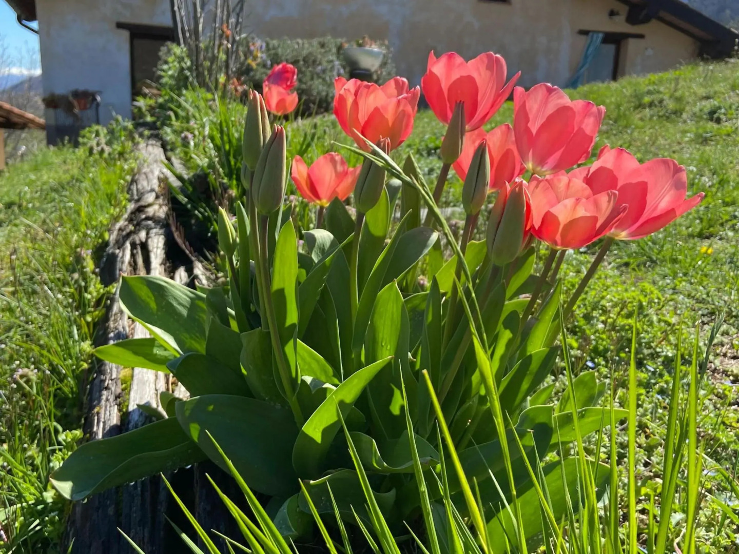 Graceful Cottage in Vergemoli with Private Fenced Garden