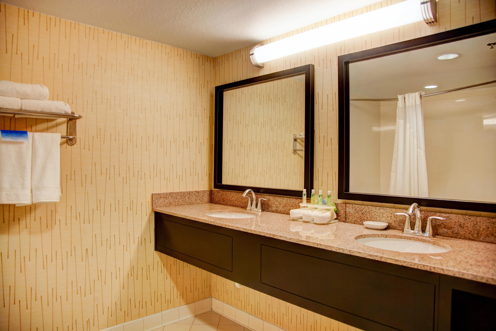 Holiday Inn Express Suites South - Tyler by IHG