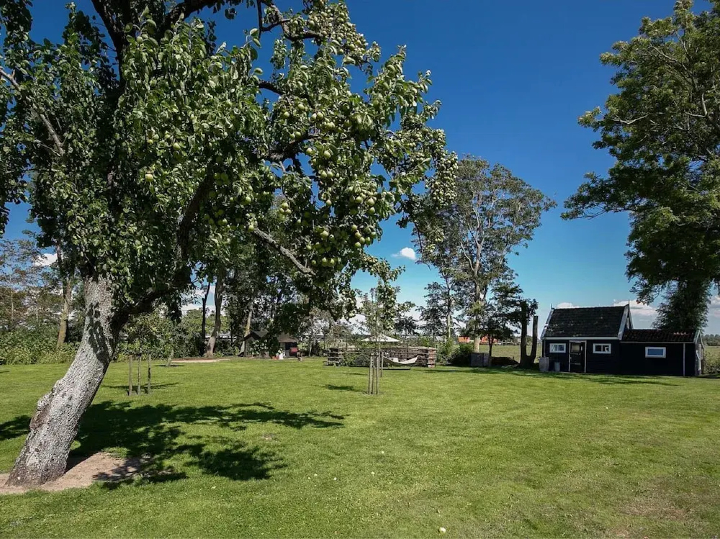 Spacious Holiday Home De Pauwenhof