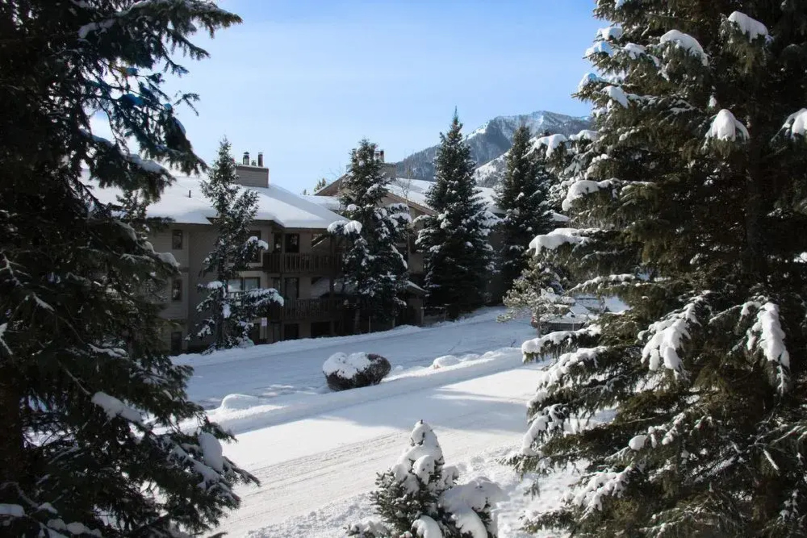 Teton Village Condos Collection by JHRL