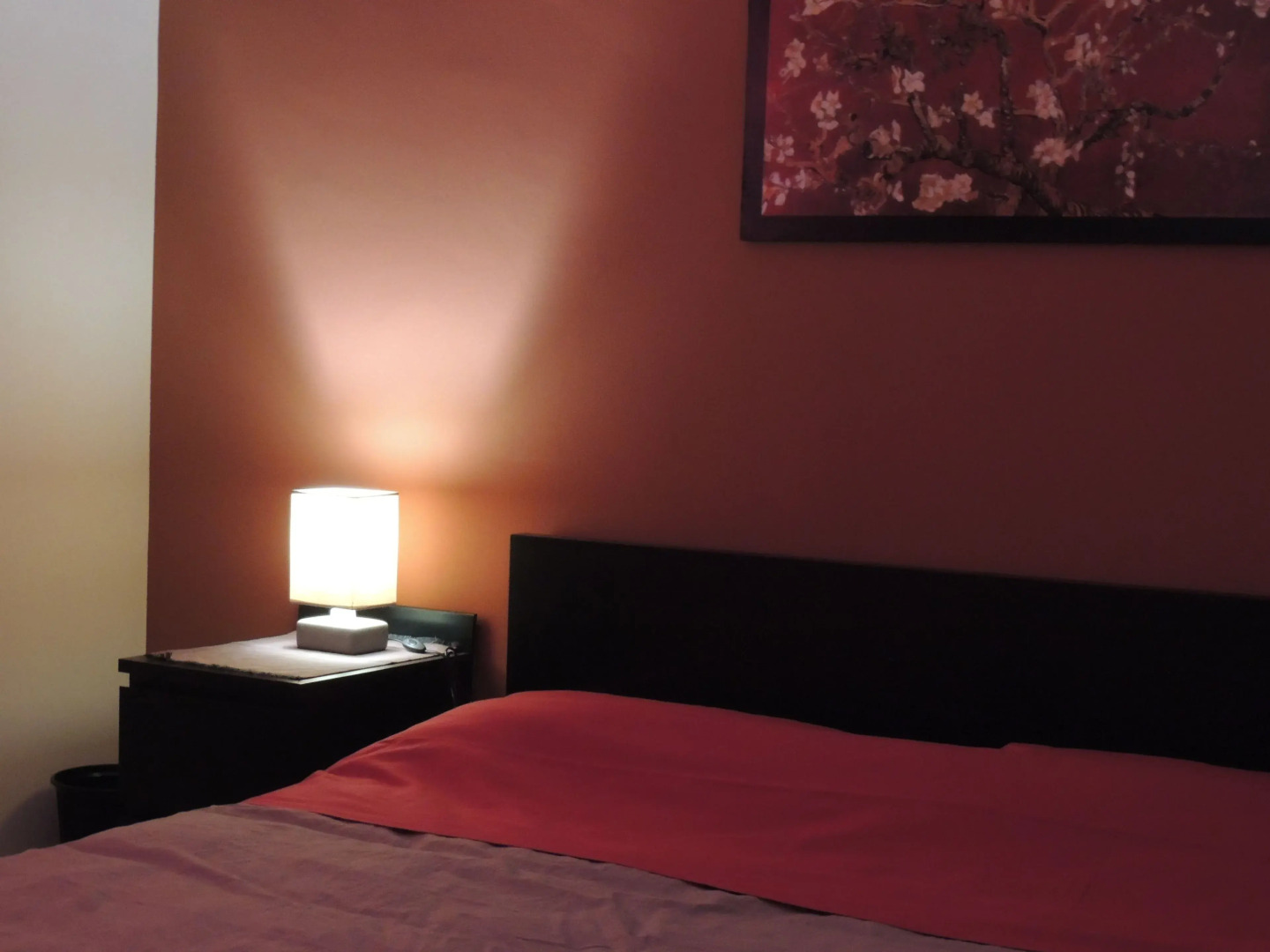 B&B il rosso e il nero