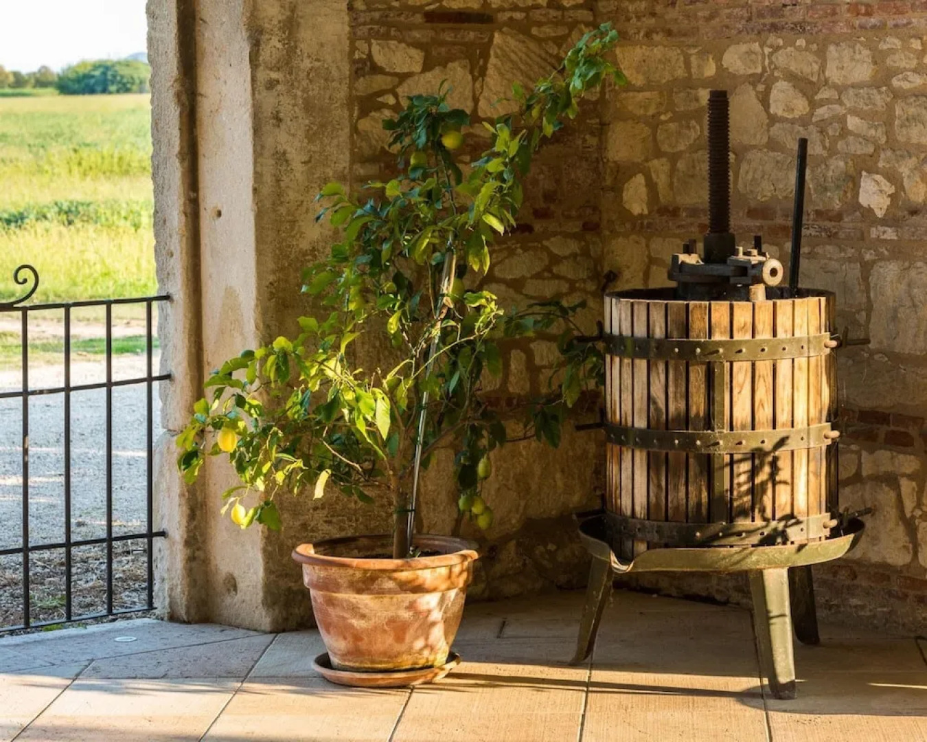 Tigli Apartment With two Bedrooms and one Bathroom on the Second Floor With 4 Metre Glass Window Apartment 6