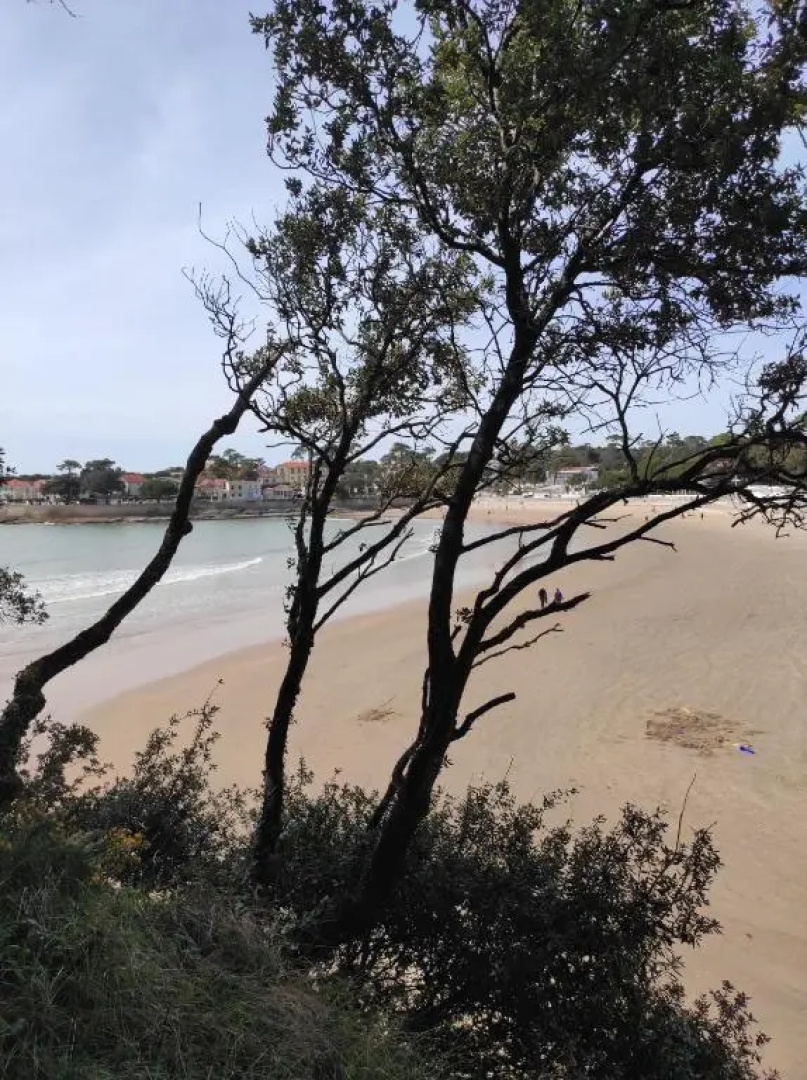 A l'abordage, appartement 2 pièces plage de Nauzan
