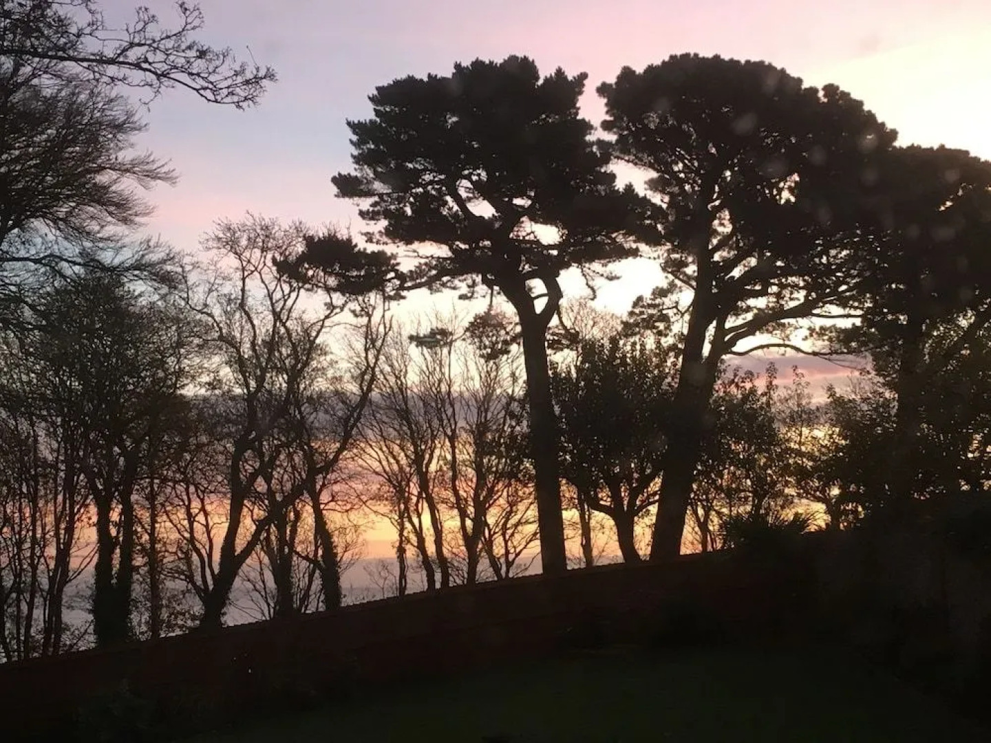 The Beeches Bed & Breakfast