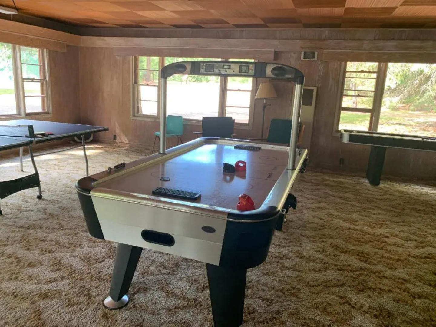 Gabe's Lost Resort - Arbor Viate #31