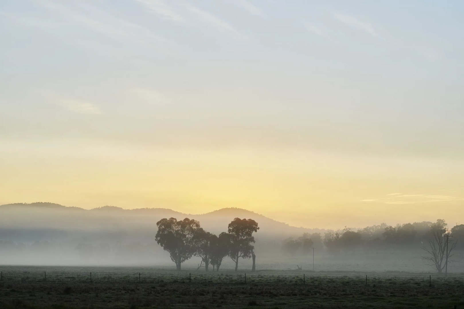 Station Motel Parkes