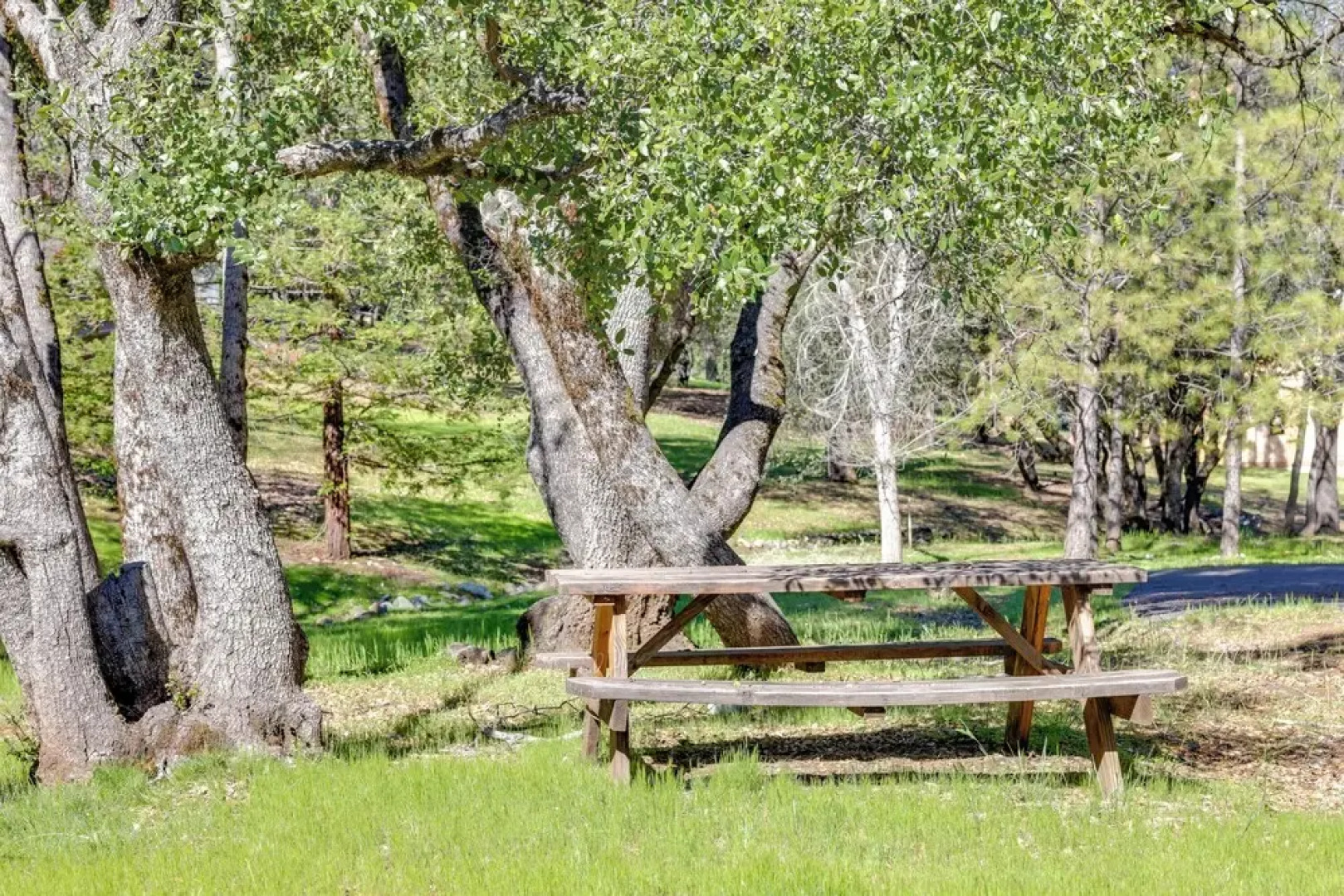 Mountain Paradise ~ 1 Mile to Pine Mountain Lake!