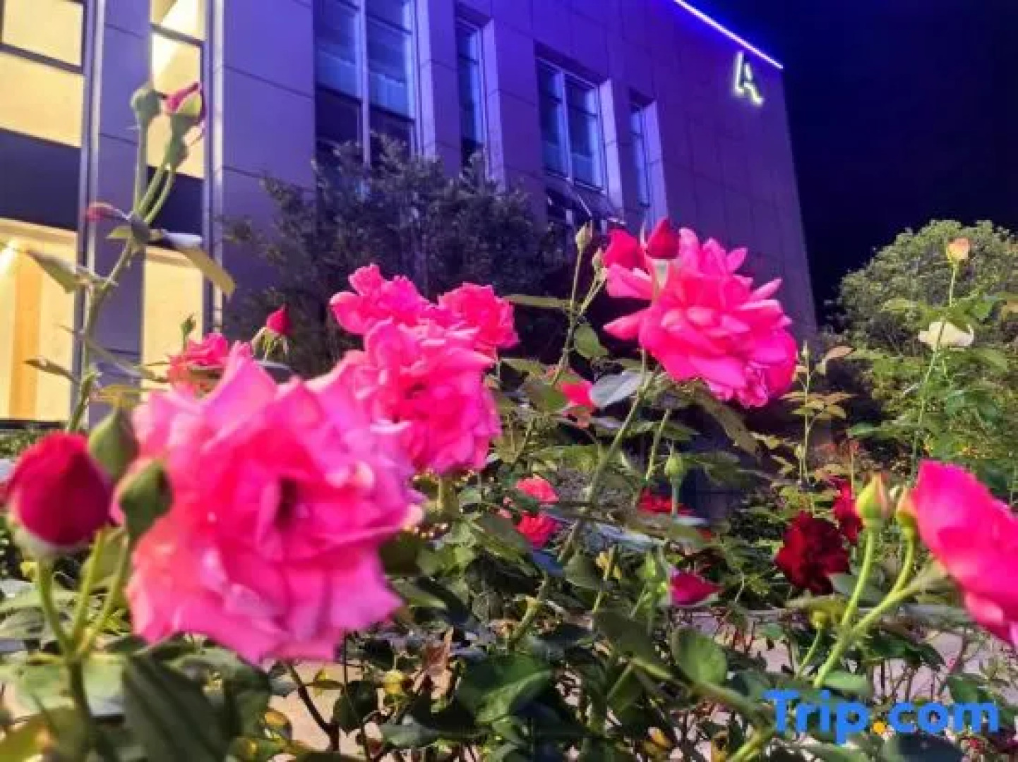 Yingliu Mansen Reception Center