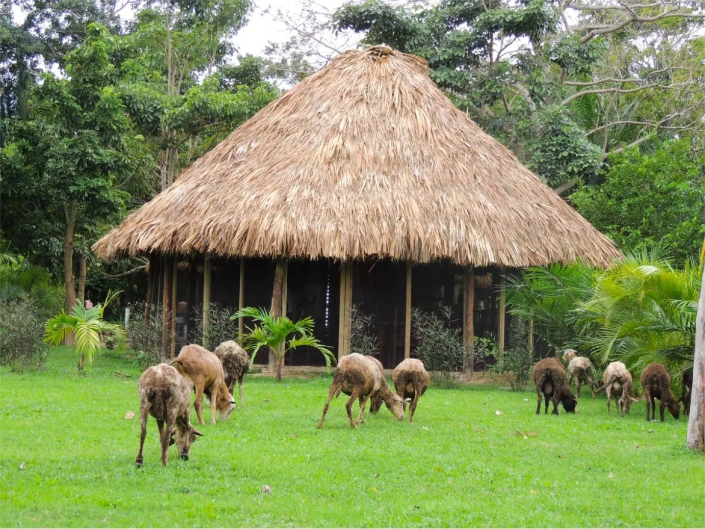 Trujillo Beach Eco-Resort