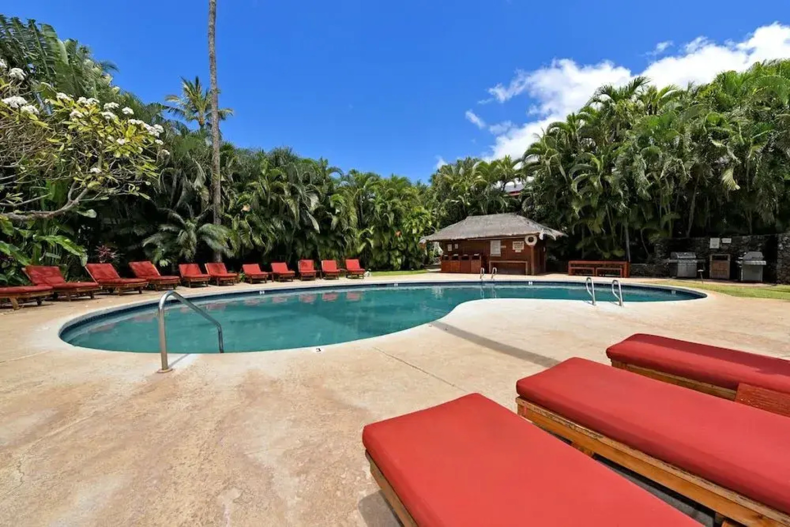 Aina Nalu A104 by RedAwning