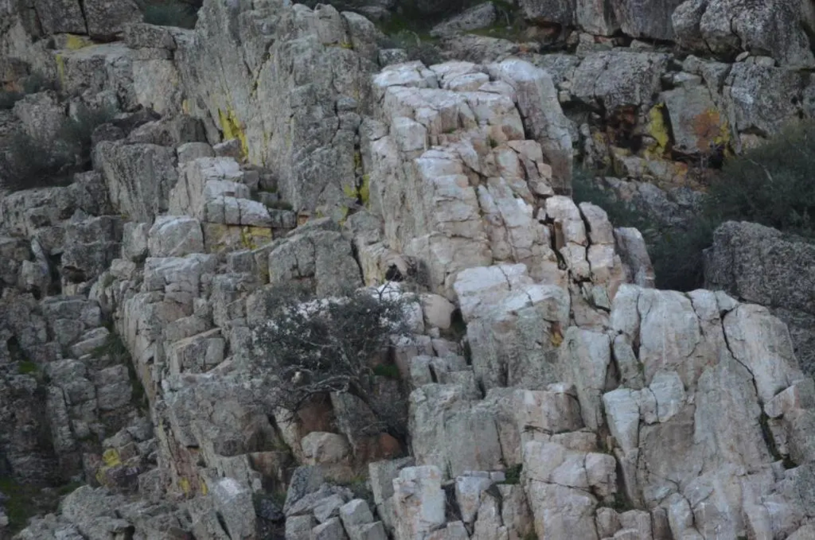 Alojamiento la cañada monfrague