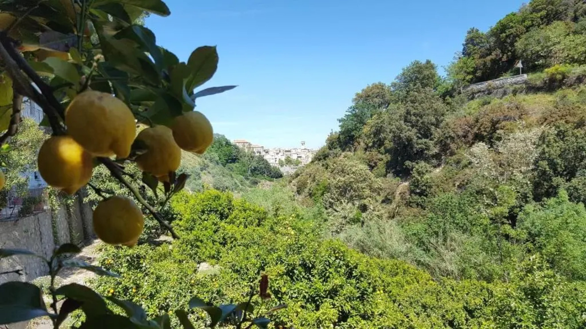 Casa Vacanze Fontanelle