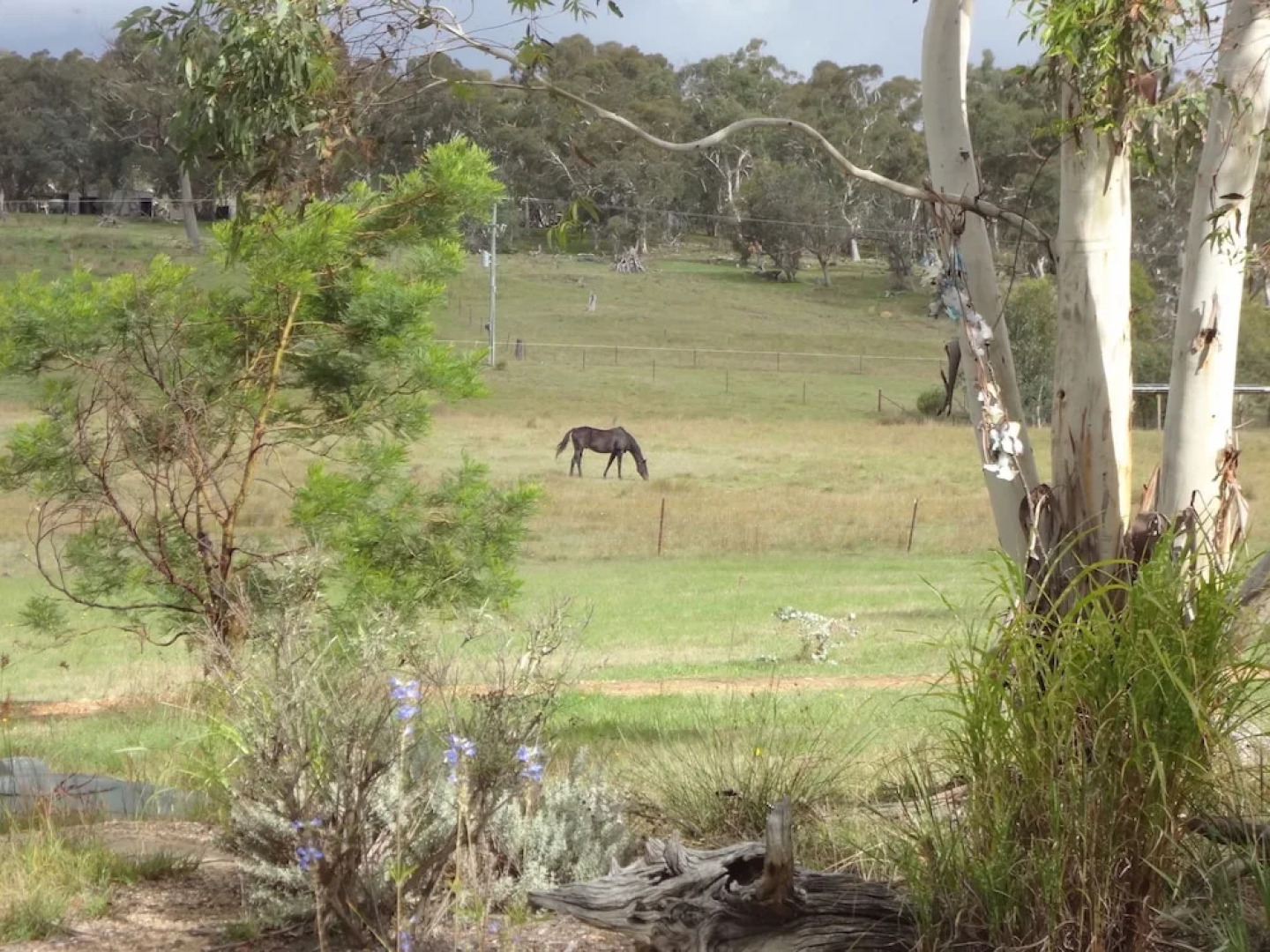 Tiandi Wildlife Sanctuary Farm Stay