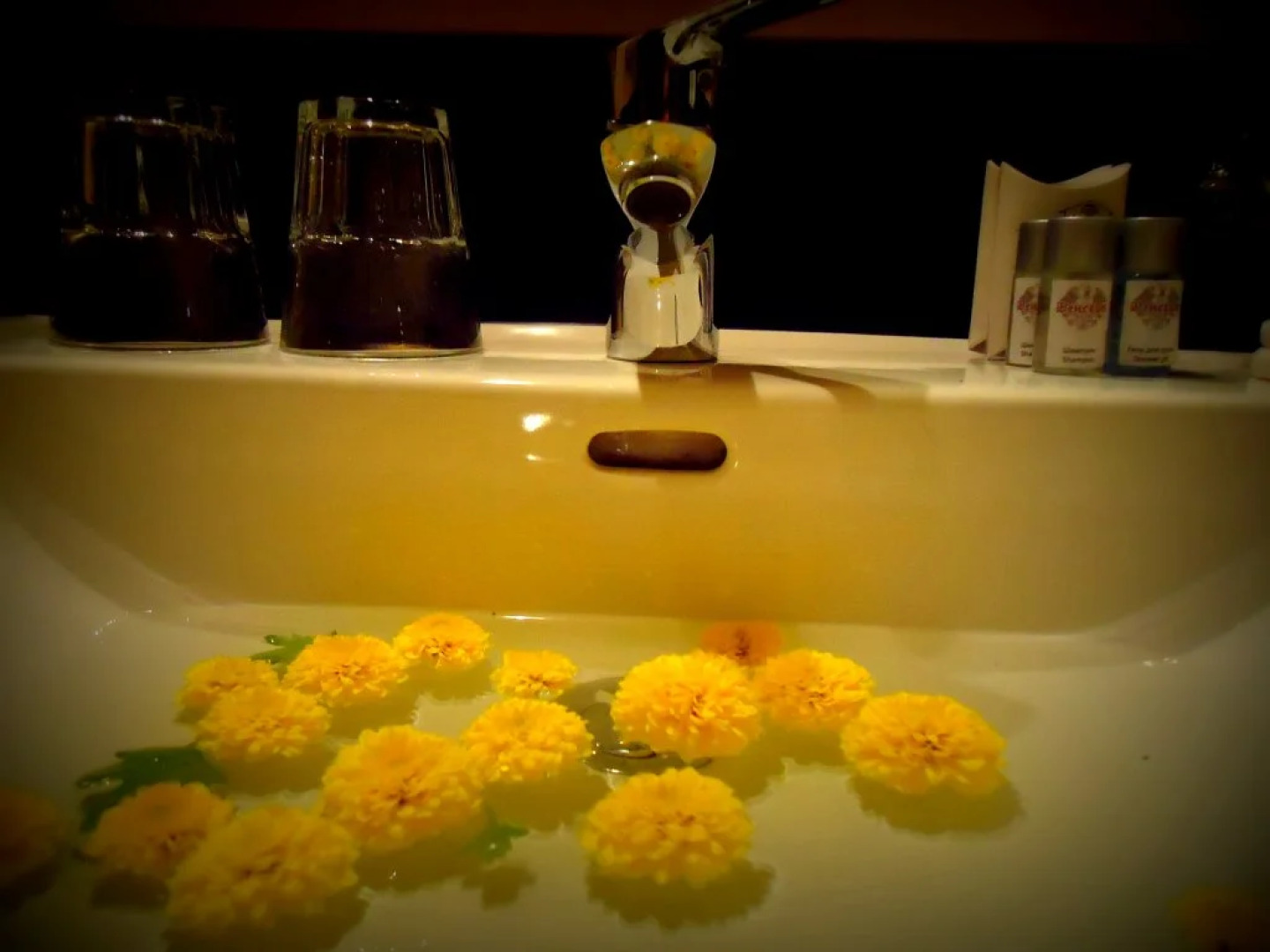 Hotel-Restaurant Complex Vensky