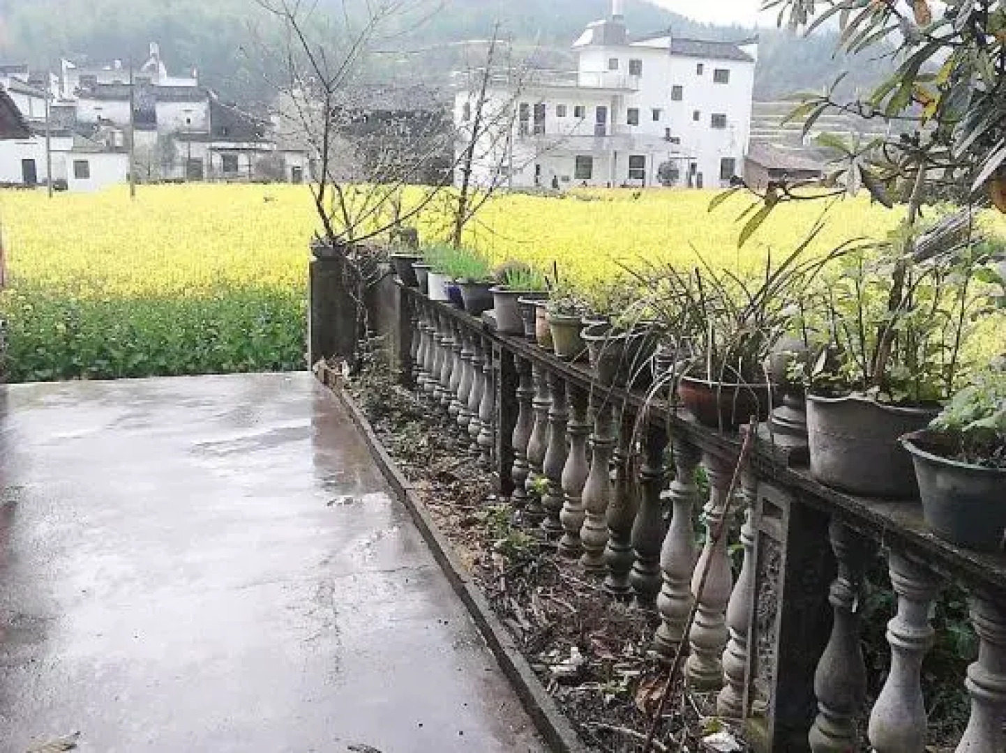 Wuyuan Qingyuan Xifuchun Farmstay