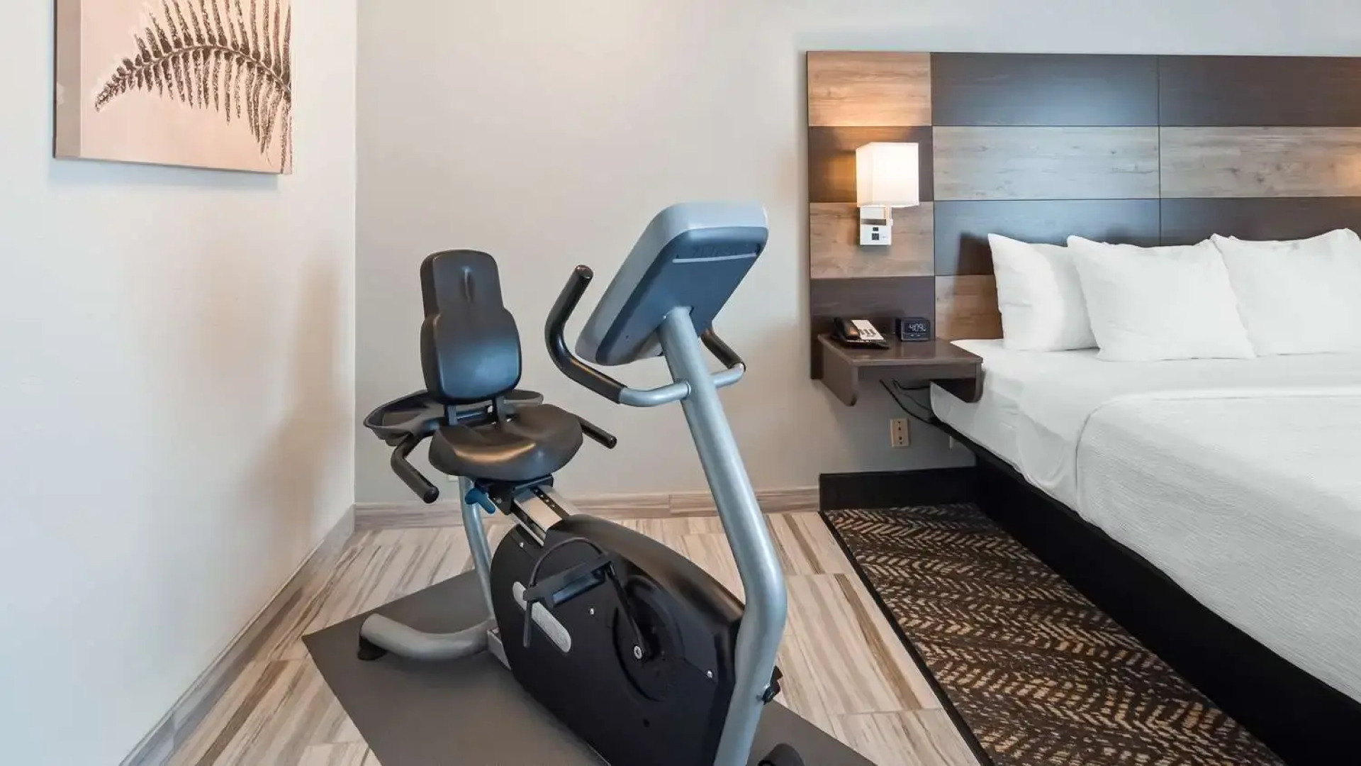 Plaza Hotel and Suites